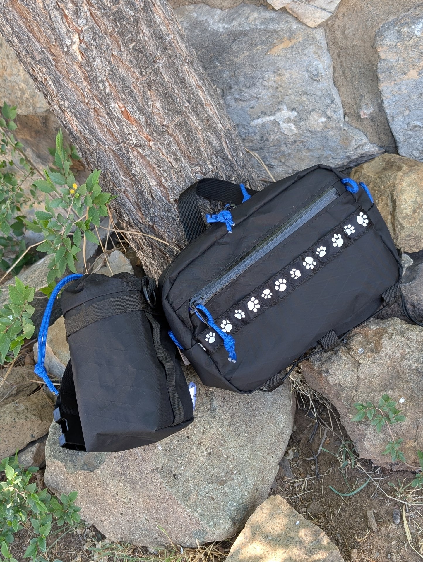 EDC Hip Bag